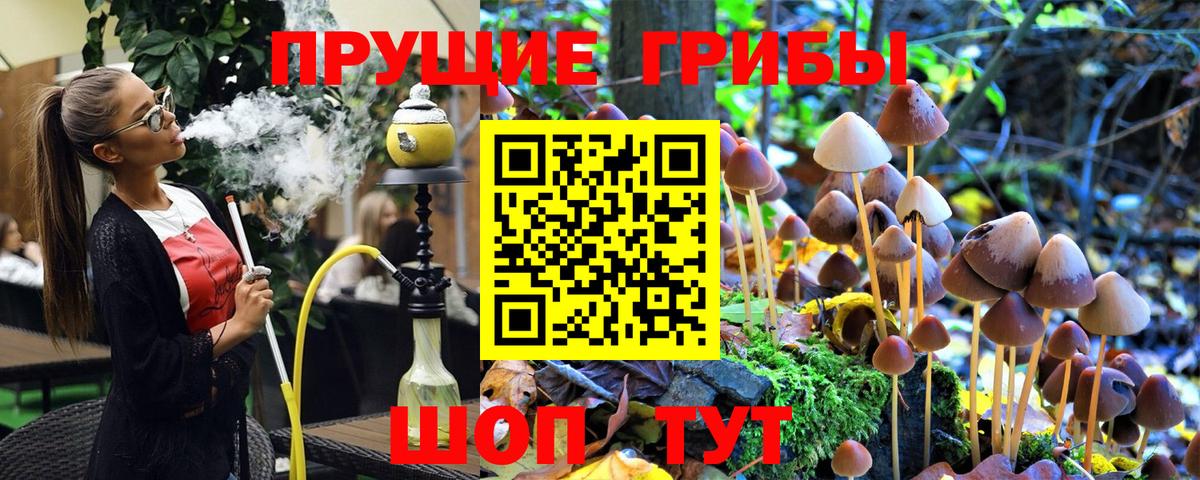Галлюциногенные грибы прущие грибы Воронеж