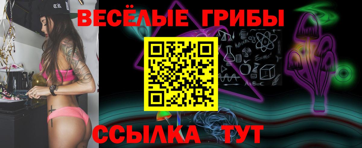 Воронеж  Галлюциногенные грибы GOLDEN TEACHER  Вход с VPN 